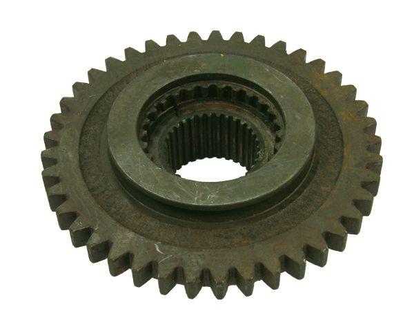 55115936.jpg