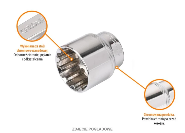 T-W-KNSP317_1.png