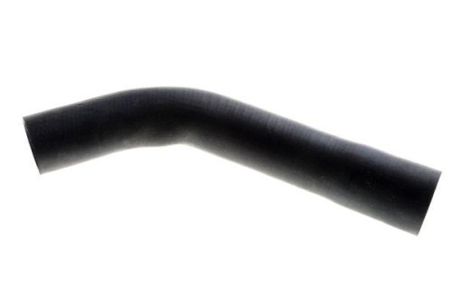50017032.jpg
