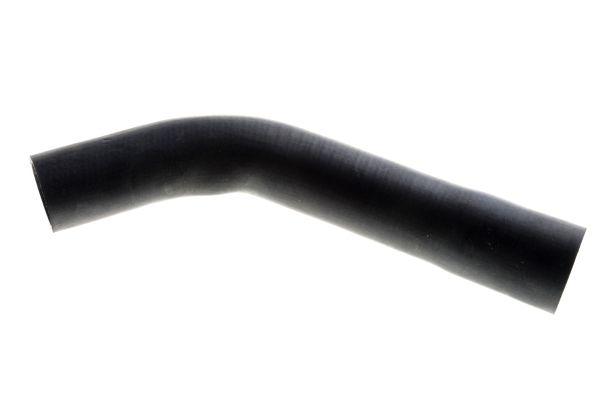 50017032.jpg