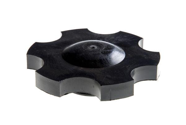 42311240.jpg