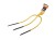 T-G-WGNO-3Z_2.png