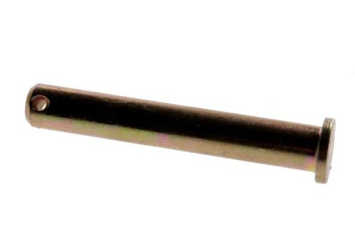 54660127.jpg