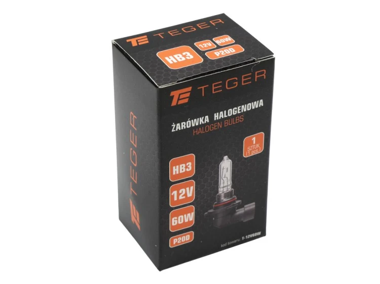 T-12V60W_2.png