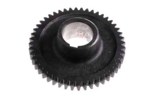 50819210.jpg