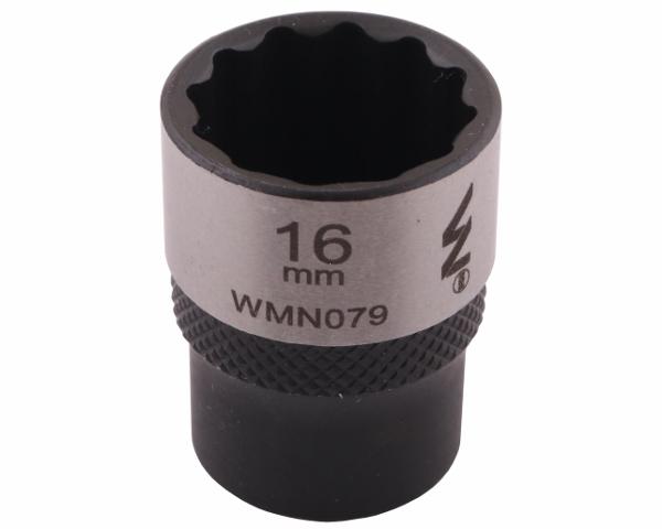 WMN079002.jpg