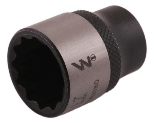 WMN080.jpg