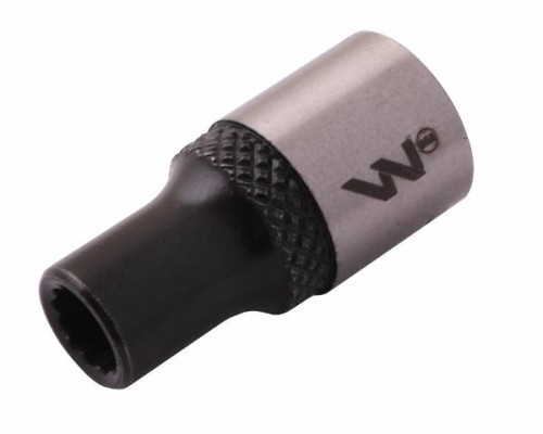 WMN005.jpg