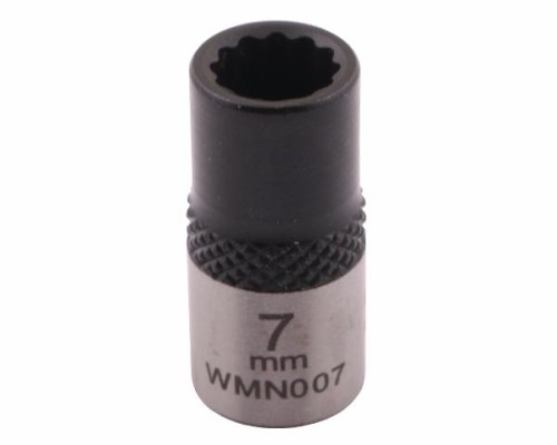 WMN007002.jpg