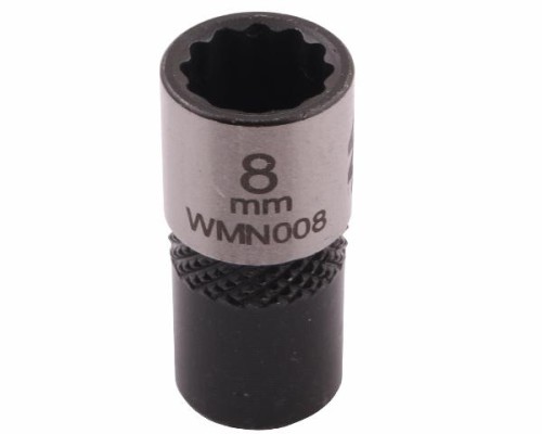 WMN008002.jpg