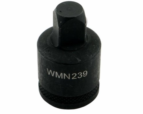 WMN239002.jpg