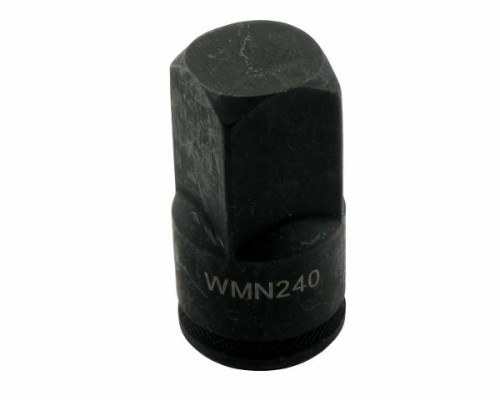 WMN240002.jpg