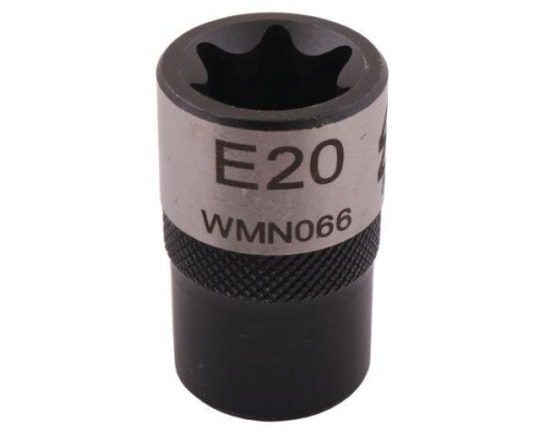 WMN066002.jpg