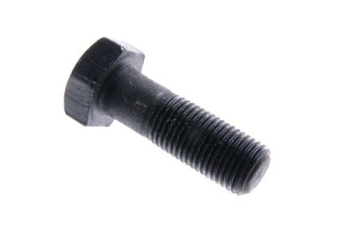 50005580.jpg