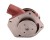 84017539W004.png