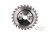 T-PTD-019_0.png