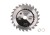 T-PTD-025_0.png