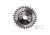 T-PTD-014_0.png