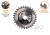 T-PTD-014_2.png