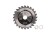 T-PTD-015_0.png