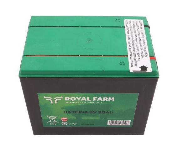 RF-10200104002.jpg