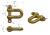 50021210U.png