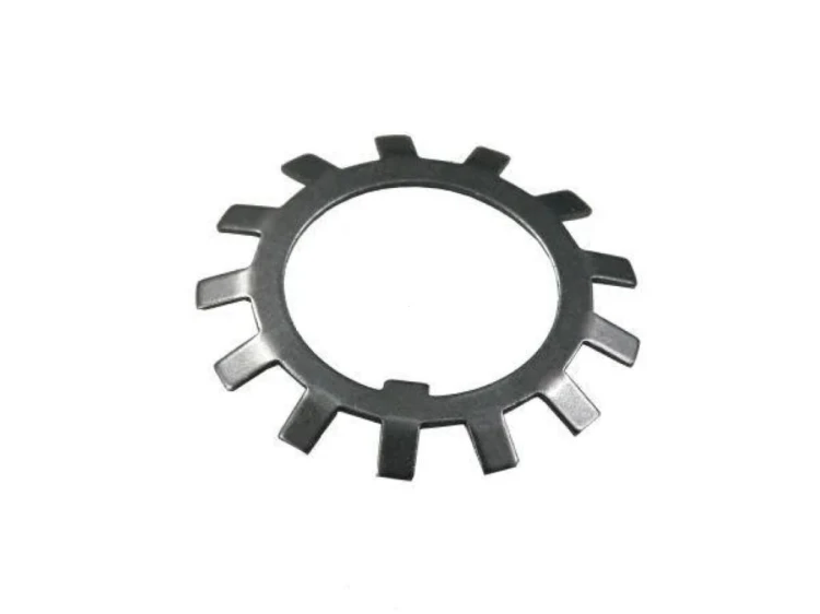 RM-MB06_0.jpg