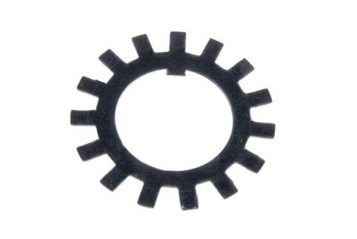 54610800.jpg