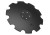 W-75107440_0.png