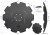 W-75606545_1.png