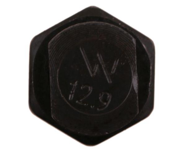 W-240121439002.jpg