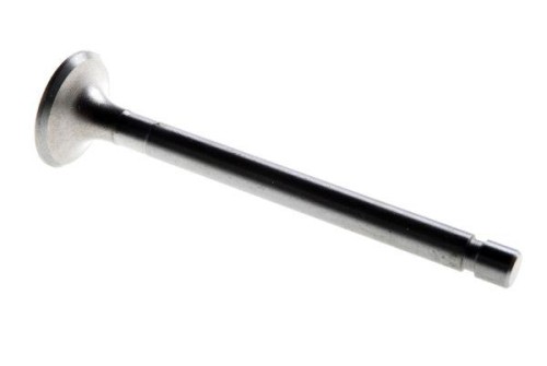 50505061.jpg