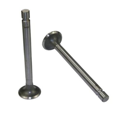 50505061U.jpg
