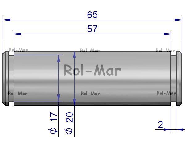 50550320.jpg