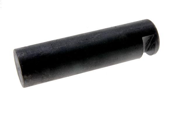 80455012.jpg