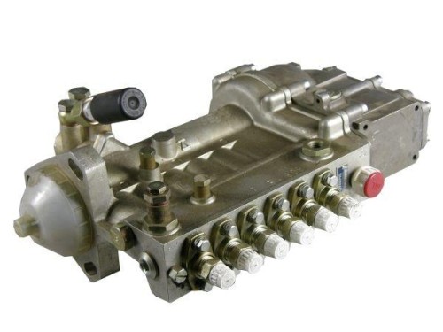 87009907.jpg