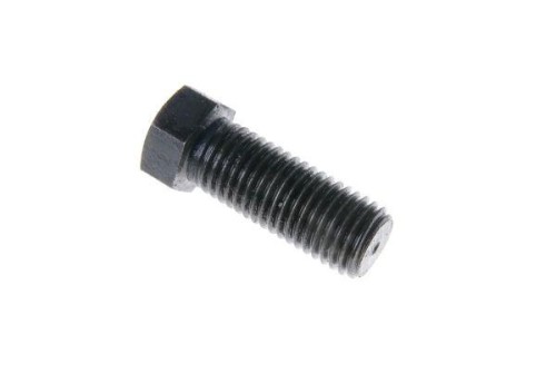 80021046.jpg