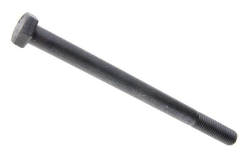 86161026.jpg