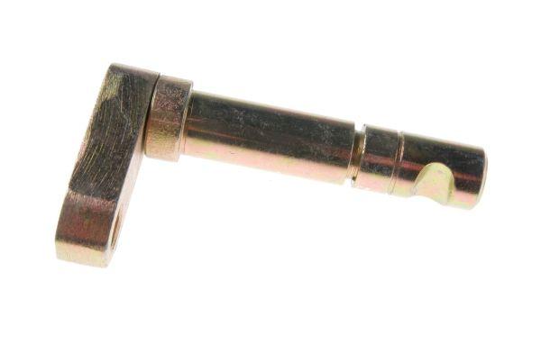 80153082.jpg