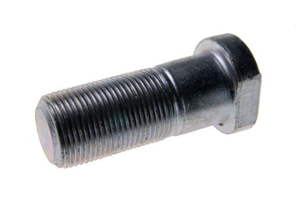 80161055.jpg