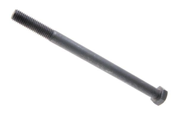 86161027.jpg