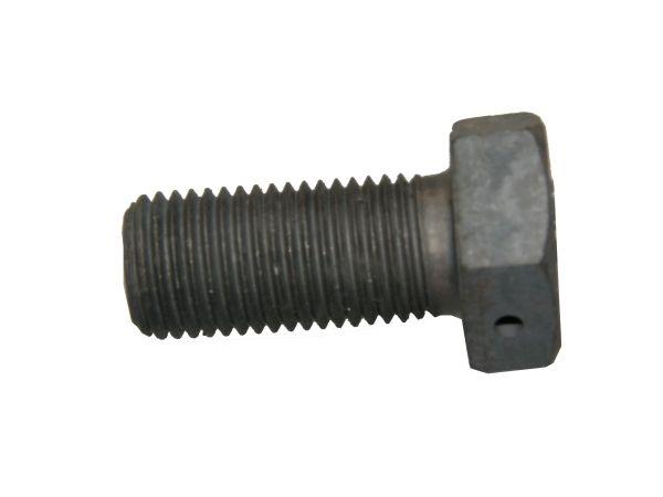 80153025.jpg