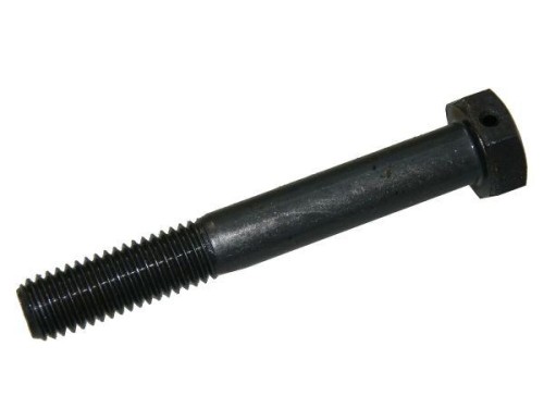 80153038.jpg