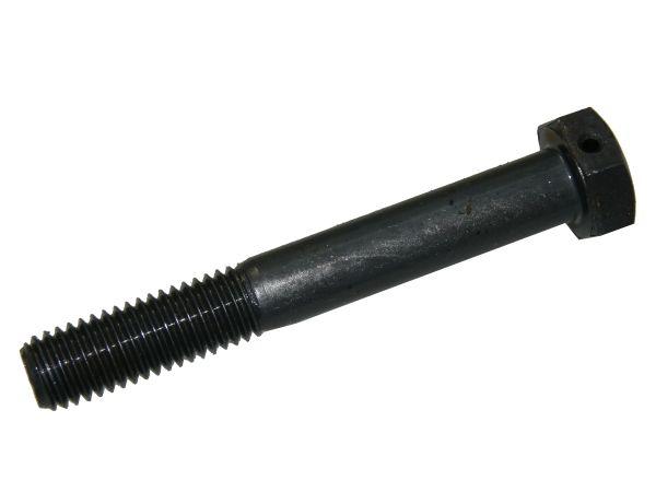 80153038.jpg