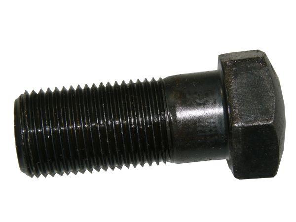 80161017.jpg
