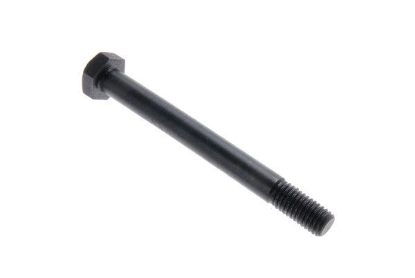 50013420.jpg
