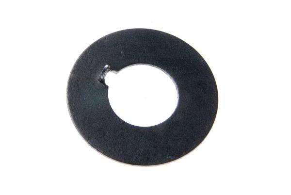 50506120.jpg