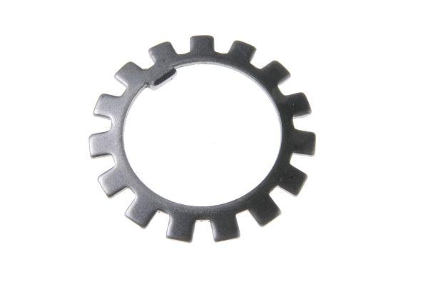 80121164.jpg