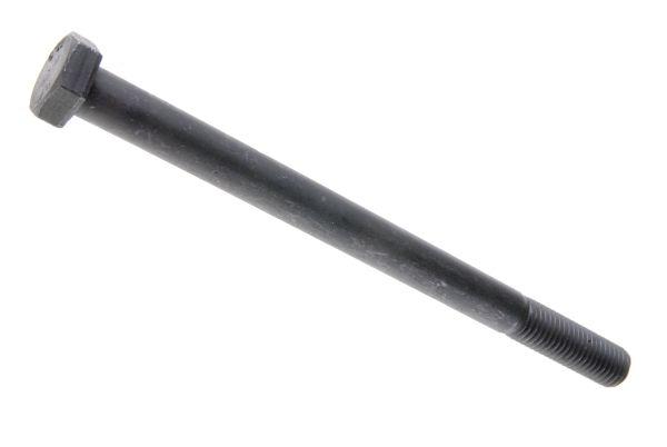 86161026.jpg